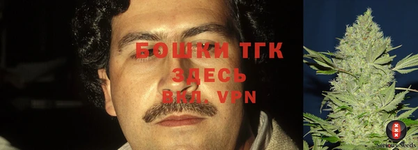 дживик Баксан