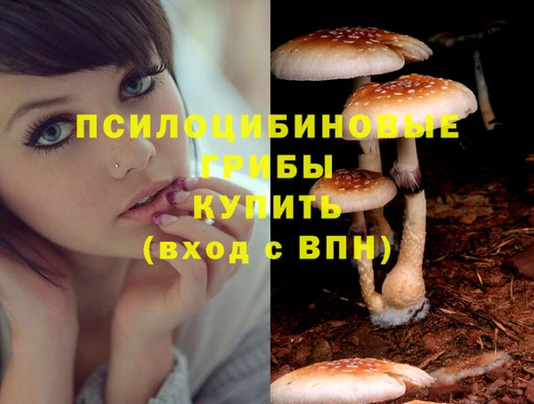 дживик Баксан