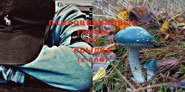 дживик Баксан