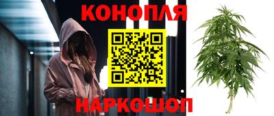 ГАЛЛЮЦИНОГЕННЫЕ ГРИБЫ Берёзовский
