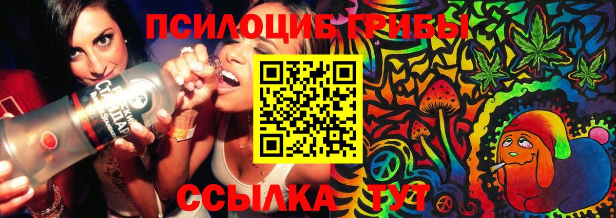 Галлюциногенные грибы GOLDEN TEACHER  Галлюциногенные грибы Psilocybe  купить  сайты  Воркута  Вход с VPN 