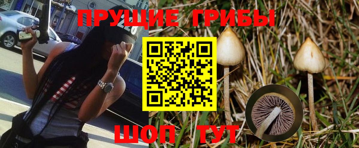 Псилоцибиновые грибы ЛСД  Воркута  Галлюциногенные грибы Psilocybe 