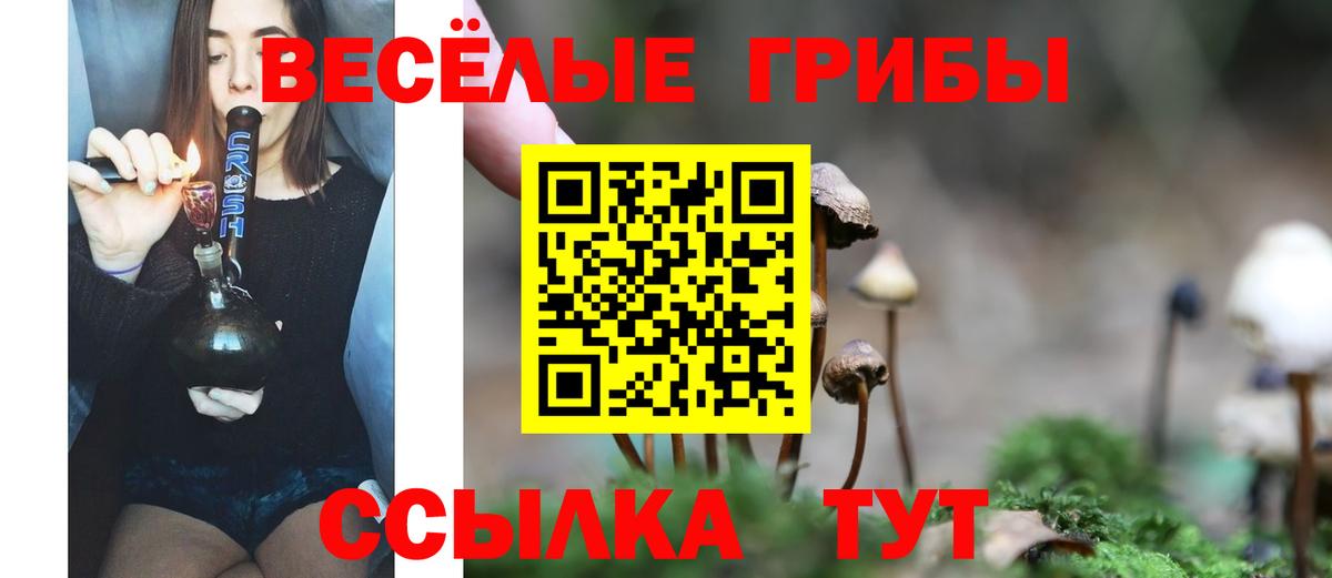 Мяу-Мяу  Меф  Вход с VPN  МАРИХУАНА  Molly  Воркута  Гашик  Каннабис  ГАШИШ  Кокаин  Наркошоп 